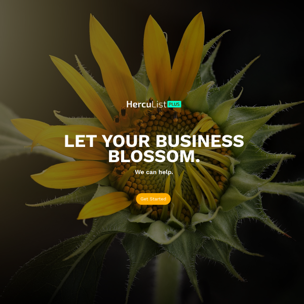 Boost Your Conversions: