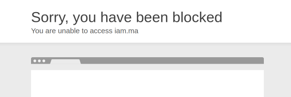 Maroc Telecom Morocco website