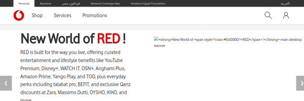 Vodafone Egypt website