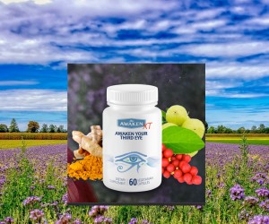 Awaken XT is like nothing you've ever tried before.