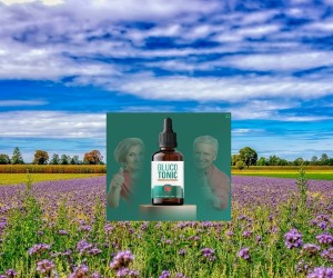 GlucoTonic New Breakthrough in Blood Sugar Science.