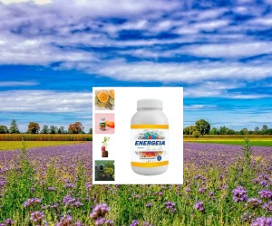 Energeia Fat-Burning Formula.
