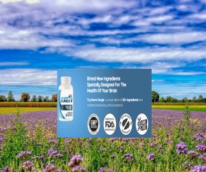 Enhancing Brain Health for Lasting Cognitive Vitality.