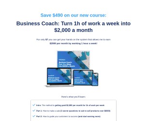 Business Coach: Turn 1h of work a week into $2,000 a month