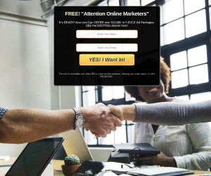 Attention Online Marketers