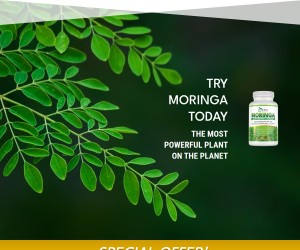 Moringa Magic: The Superfood Breakthrough That Helps You Feel Amazing Every Day