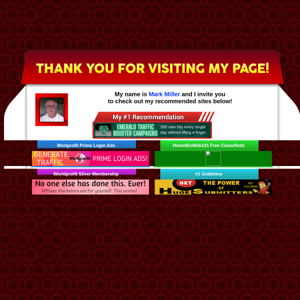 Make your mark online with Viral Mailer For You's custom splash pages.