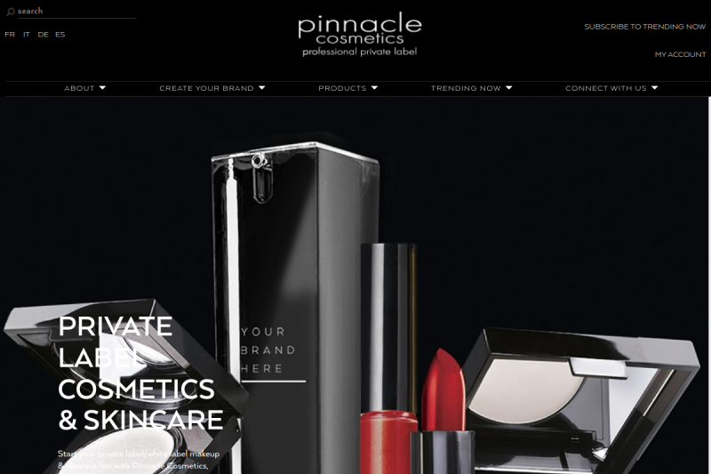 Pinnaclecosmetics: See Their Revenue, Competitors, Traffic ...