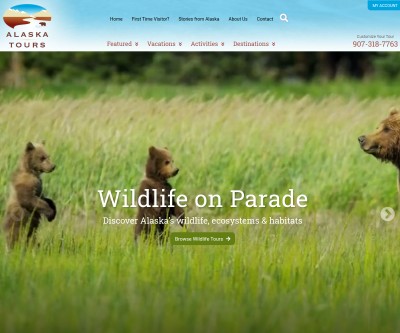 Screenshot of alaskatours.com