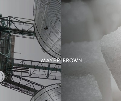 Screenshot of mayerbrown.com