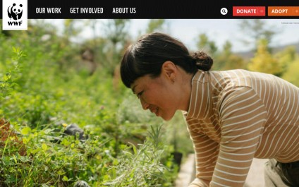 Screenshot of worldwildlife.org