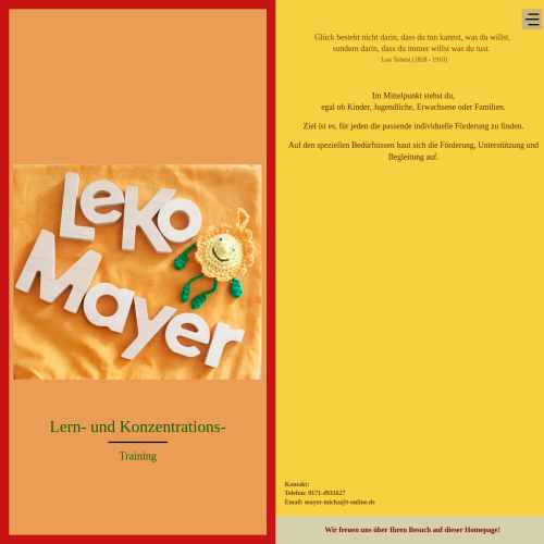 www.leko-mayer.de
