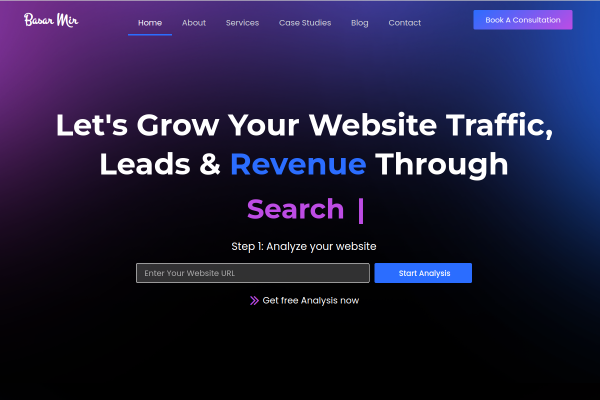 Basar Mir - SEO Expert and Consultant