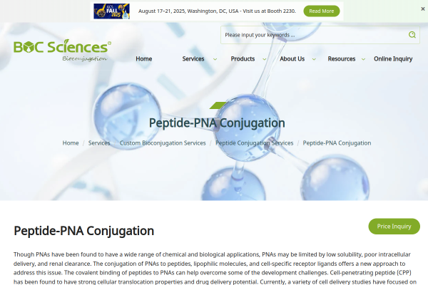 Peptide Drug Conjugate