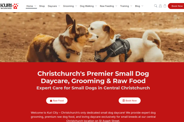 Kuri City Doggy Daycare