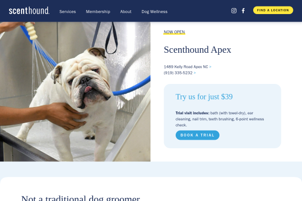 Scent Hound - Apex