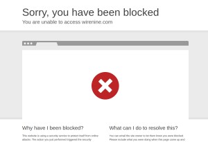 capture d'écran du site Wire Nine