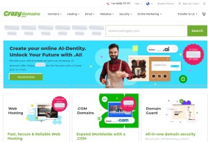 capture d'écran du site Crazy Domains