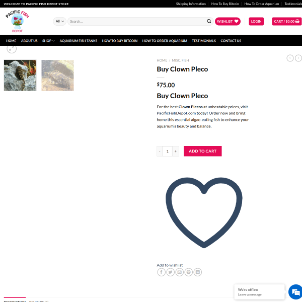 Website Thumbnail