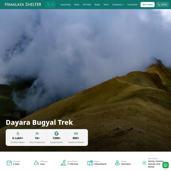 Website Thumbnail