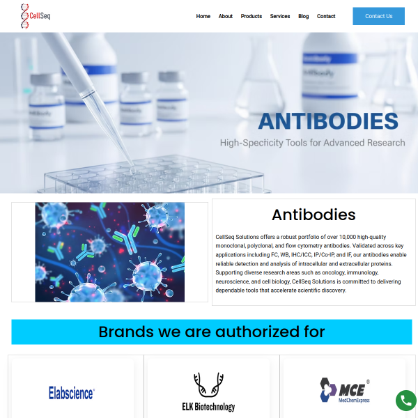 Website Thumbnail