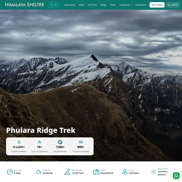 Website Thumbnail