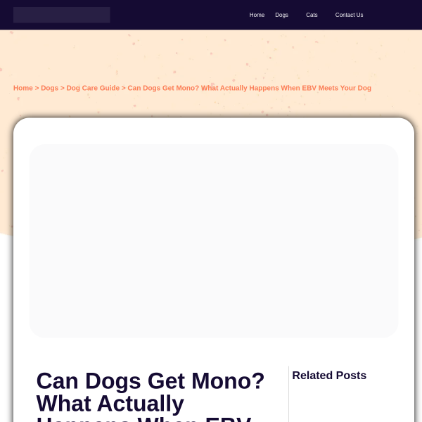 Website Thumbnail