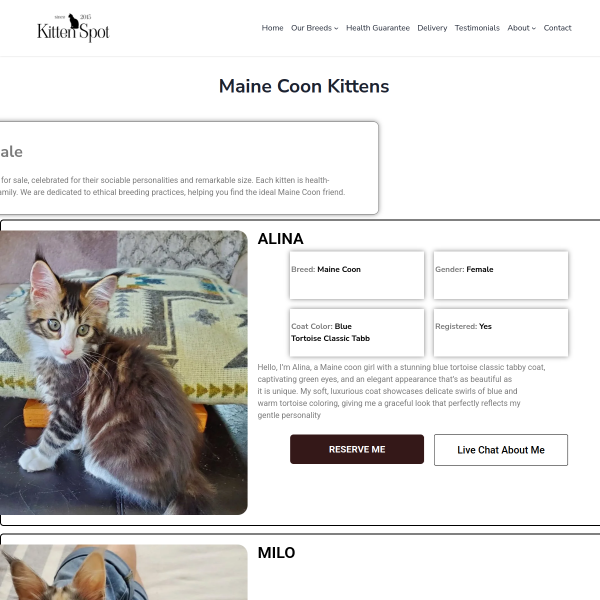 Website Thumbnail