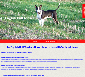 Learning To Live With An English Bull Terrier From Puppy To Adult              