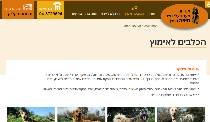 Screenshot of www.petprotect.org.il