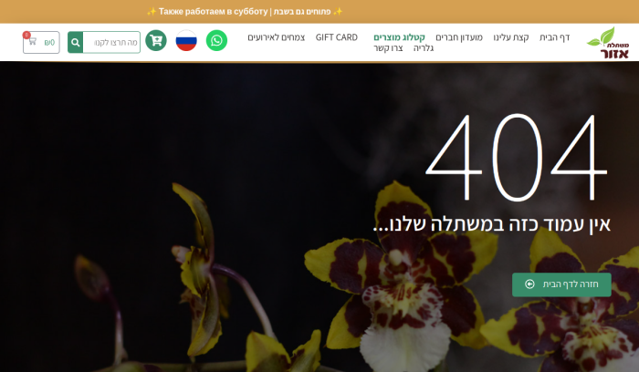 Screenshot of azurflowers.co.il