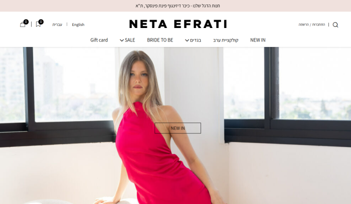 Screenshot of www.netaefrati.com