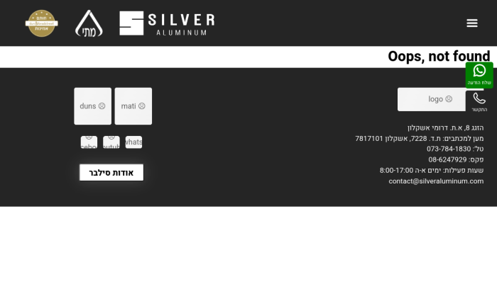Screenshot of www.silveraluminum.com