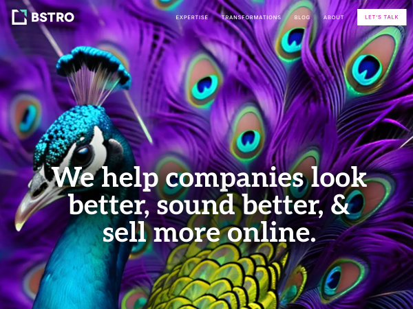 Screenshot of bstro website.