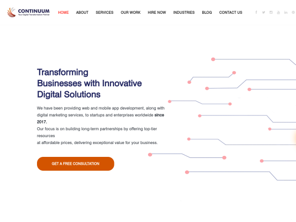 Screenshot of continuum software solutions website.
