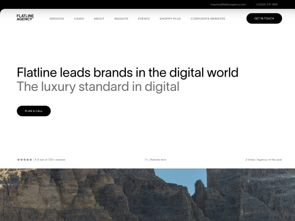 Screenshot of flatline agency website.