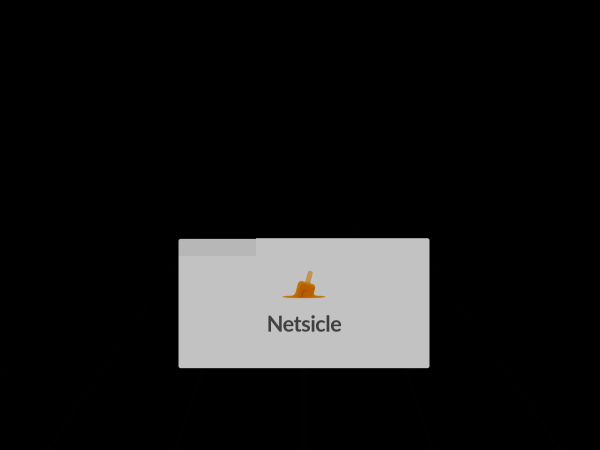 Screenshot of netsicle website.