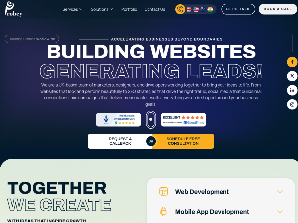 Screenshot of probey services website.