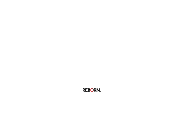 Screenshot of reborn digital agency website.