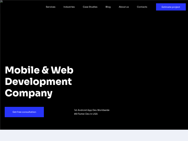 Screenshot of surf website.