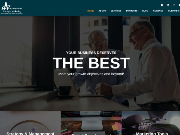 Screenshot of the artist evolution website.