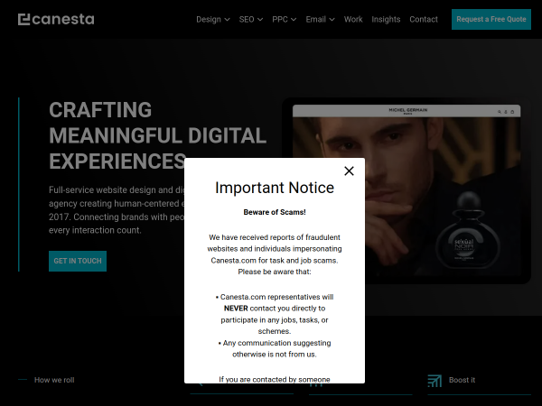 Screenshot of canesta website.