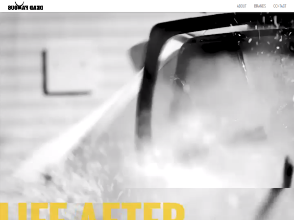 Screenshot of dead famous website.