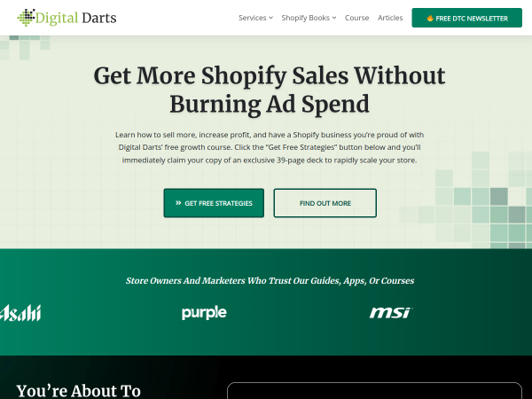 Screenshot of digital darts website.