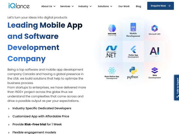 Screenshot of iqlance solutions website.