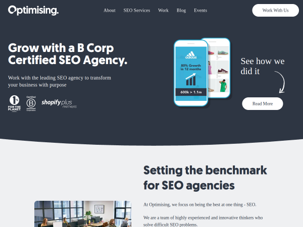 Screenshot of optimising website.