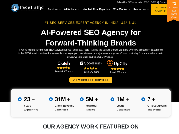 Screenshot of pagetraffic website.