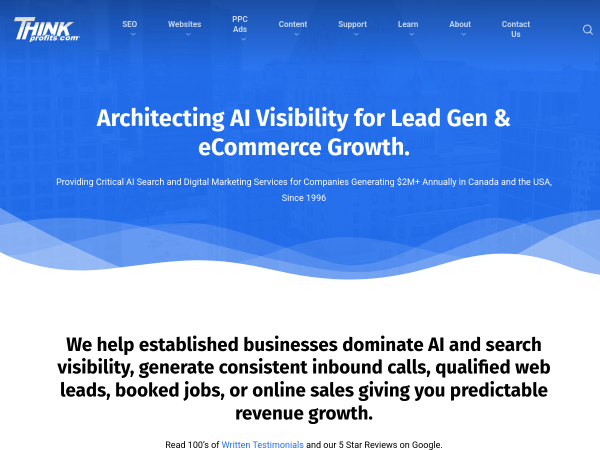Screenshot of thinkprofits.com website.