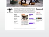 vignette du site