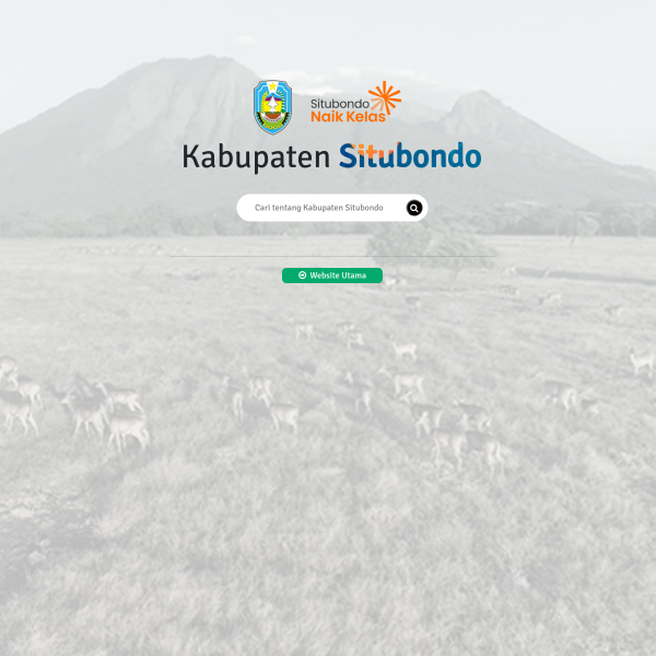 Screenshot situbondokab.go.id
